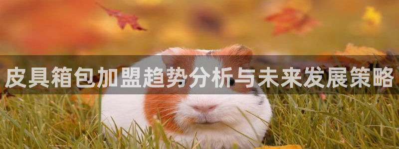 意昂3娱乐平台