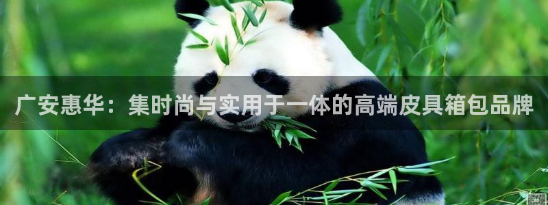 意昂3娱乐是那个系列的台子