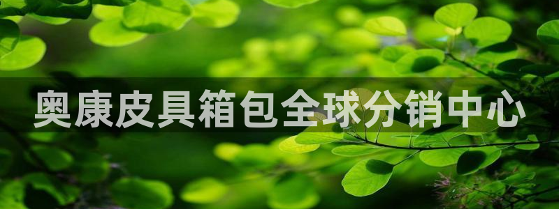 意昂3集团E.ON