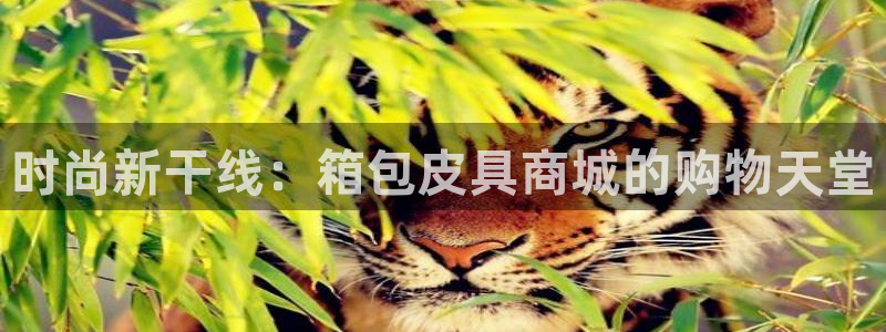 意昂3娱乐下载