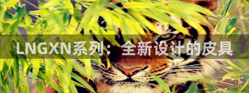 意昂体育3招商电话是多少号码
