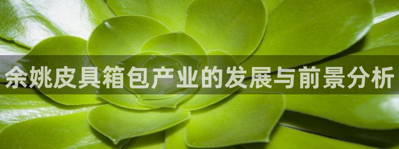 意昂体育3招商电话号码查询