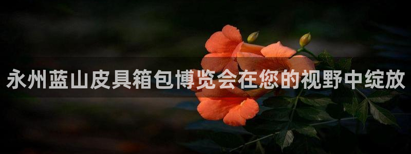 意昂3娱乐首页官网下载