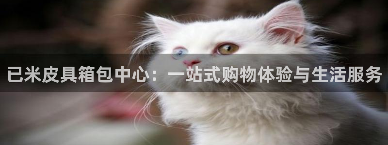 意昂体育3招商电话号码是多少啊