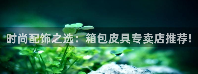 意昂3娱乐首页网站大全