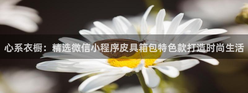 意昂体育3招商电话是多少啊