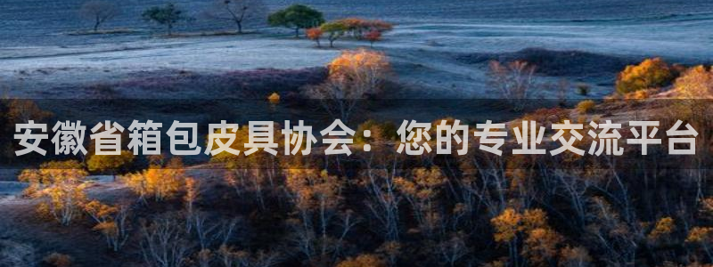 意昂体育3平台是正规平台吗知乎
