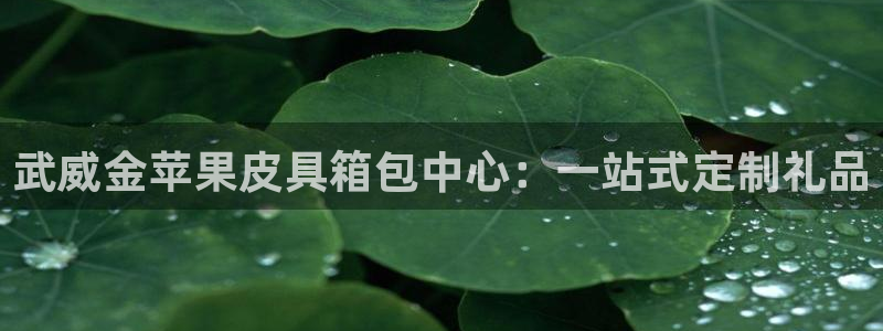 意昂3官网