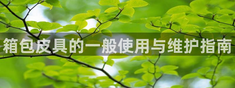 意昂体育3招商电话