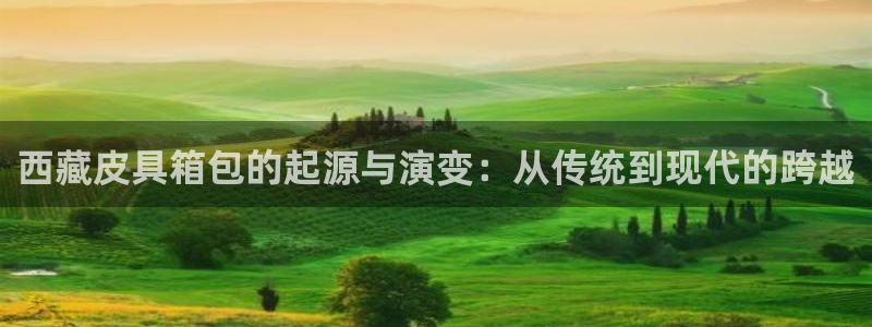 意昂体育3软件
