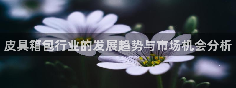 意昂体育3招商电话号码是多少