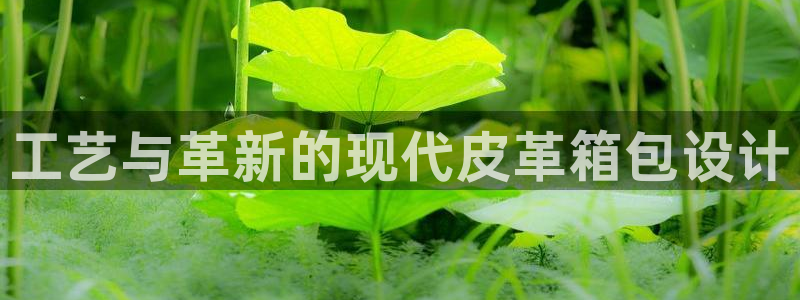 意昂体育3招商电话号码是多少啊