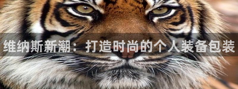 意昂3新能源