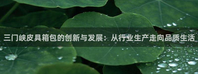 意昂体育3平台假的吗是真的吗
