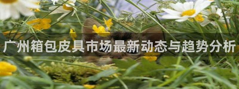 意昂3娱乐