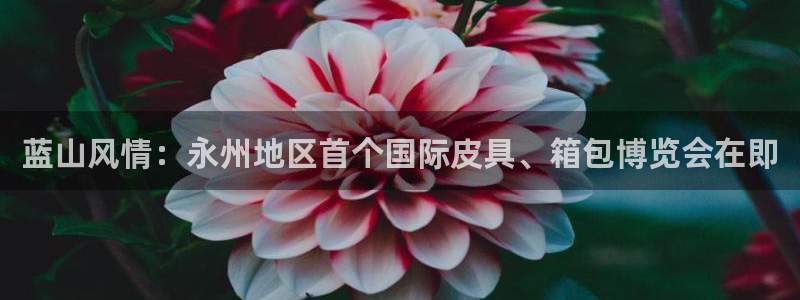 意昂体育3平台注册要钱吗安全吗