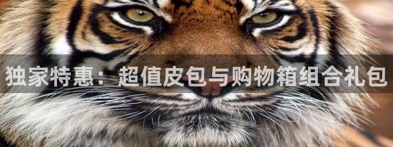 意昂体育3平台注册要钱吗