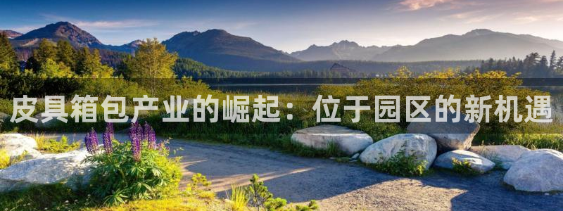 意昂体育3平台假的吗是真的吗