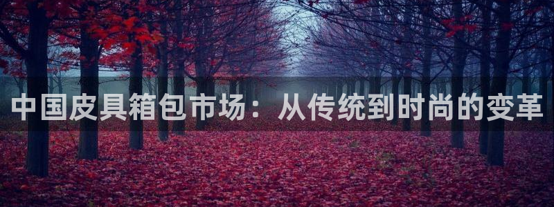 海南意昂体育3发展怎么样