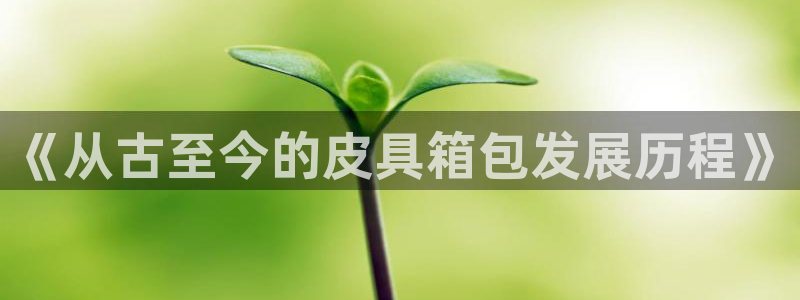 意昂体育3平台是正规平台吗知乎