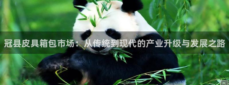 意昂体育3是干嘛的公司