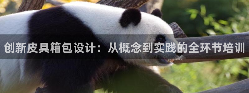 意昂3集团官网首页网址