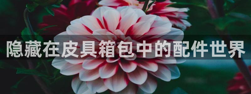 意昂3娱乐首页官网下载