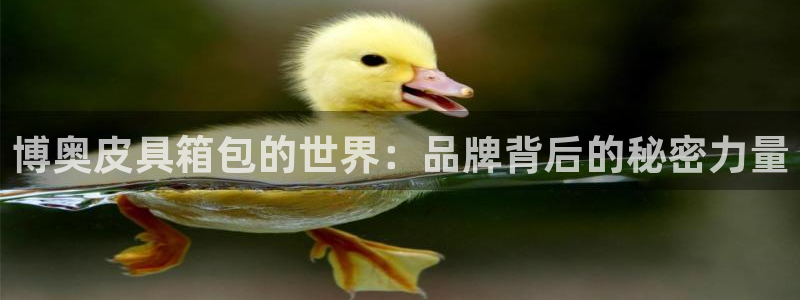 意昂体育3招商电话号码是多少啊