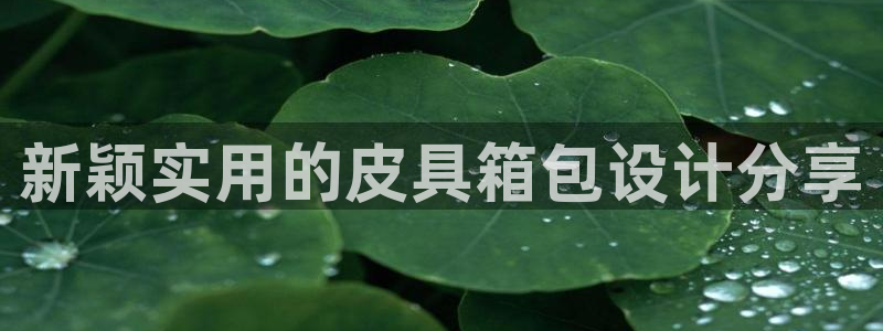 意昂体育3平台APP