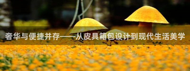 意昂体育3招商电话是多少