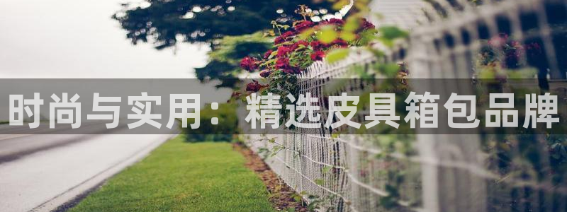 意昂体育3招商电话号码是多少号