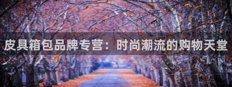 意昂体育3招商电话地址