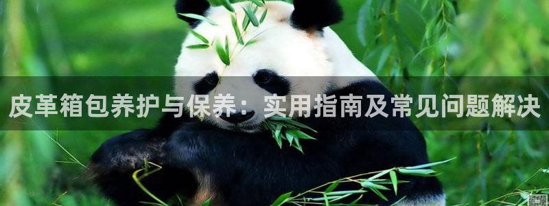 意昂3娱乐首页官网下载