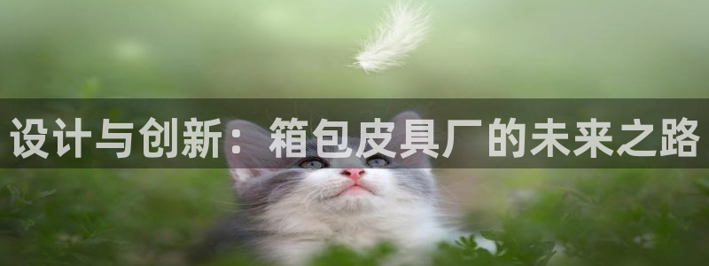 意昂体育3招商电话地址