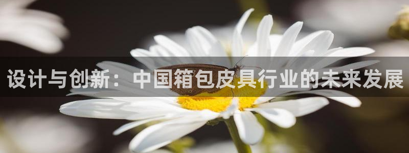 意昂3集团官网网址