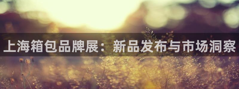 意昂体育3平台是正规平台吗安全吗