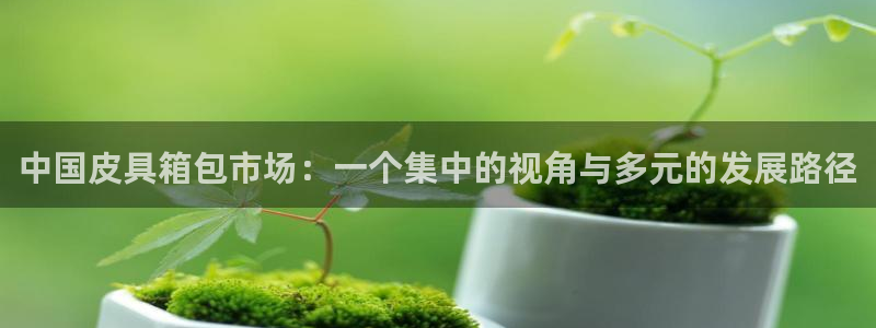 意昂体育3招商电话号码是多少号