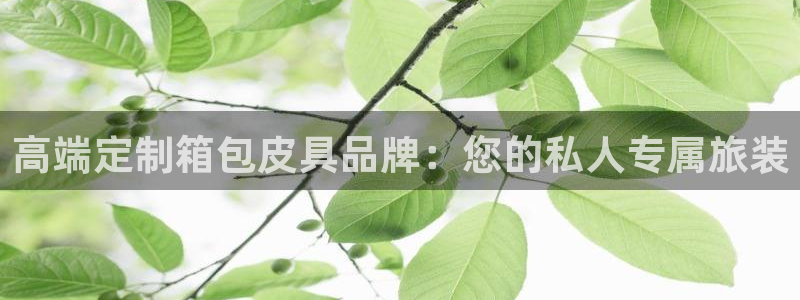 意昂体育3招商电话号码查询是多少