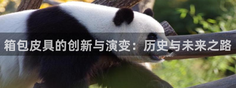 意昂体育3招商电话号码是多少号