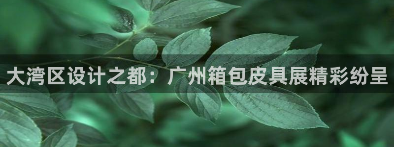 意昂体育3平台注册流程图