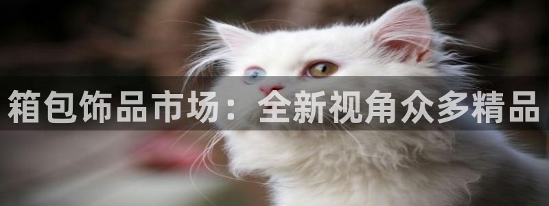 意昂体育3平台注册流程图