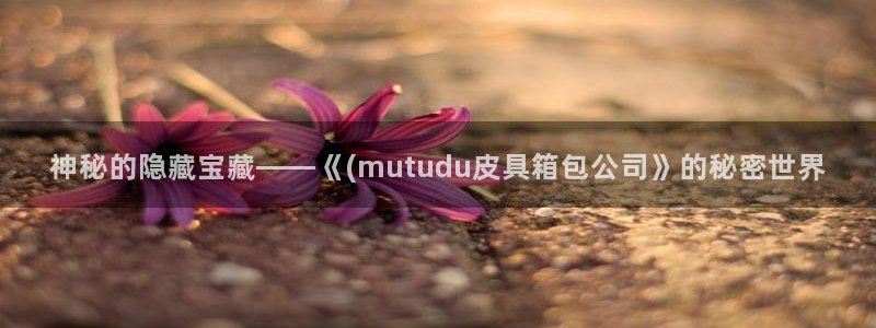 意昂体育3联系电话