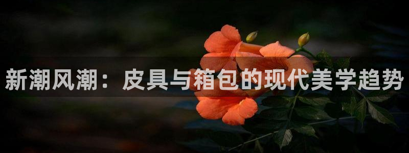 意昂体育3招商电话