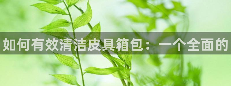 意昂体育3招商电话是多少啊