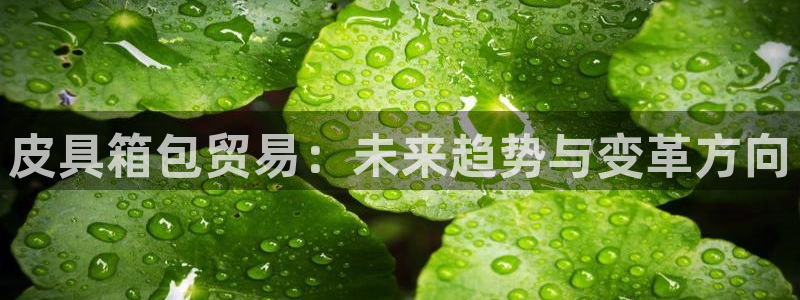 意昂体育3招商电话号码查询是多少