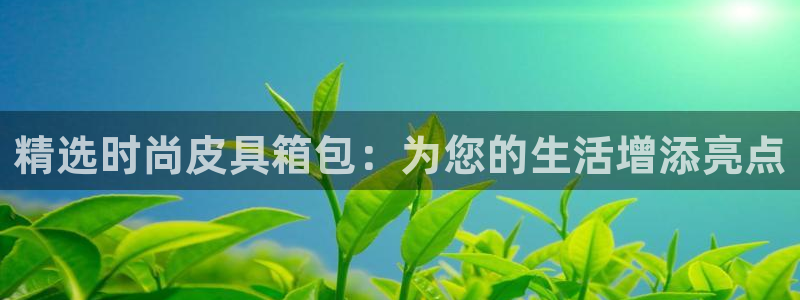 意昂体育3招商电话号码