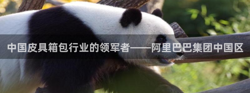 意昂体育3平台是正规平台吗