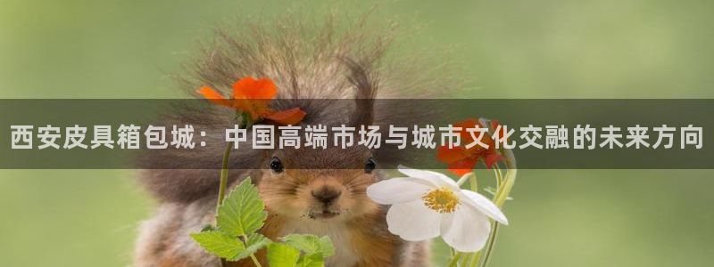 意昂3娱乐首页官网下载