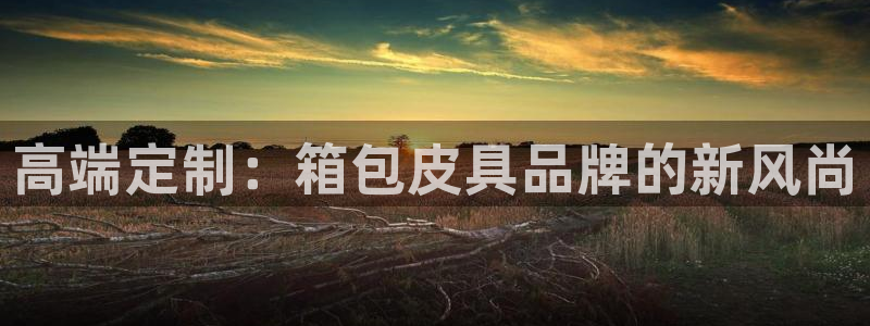 意昂体育3平台注册流程图