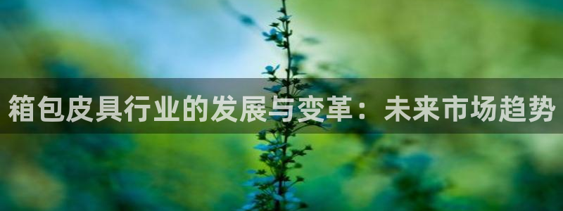 意昂体育3招商电话地址是多少